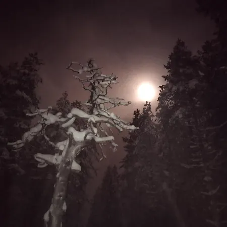 Vihreae Helmi Chalet *