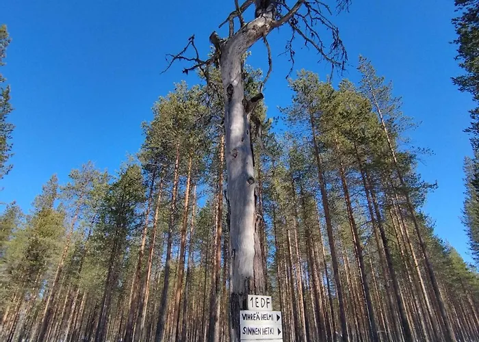 Vihreae Helmi 샬레