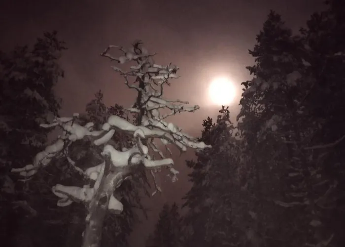 Vihreae Helmi Chalet *